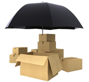 SFT packers and movers